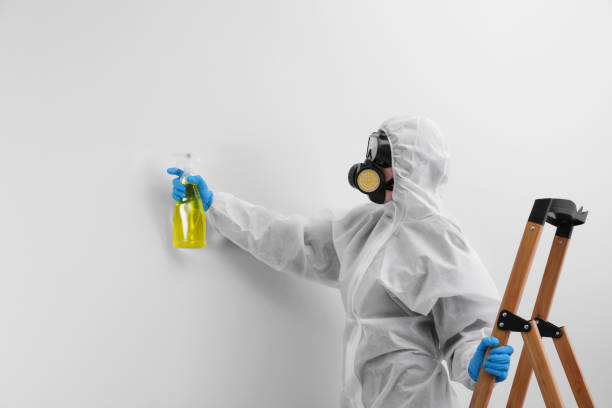 Best Mold Removal for HVAC Installations  in Wurtland, KY